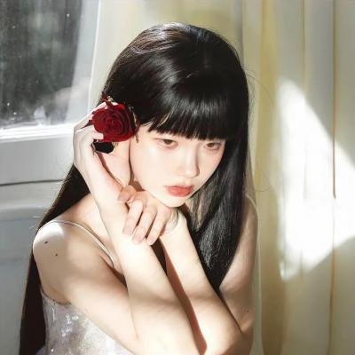 奥斯汀书会